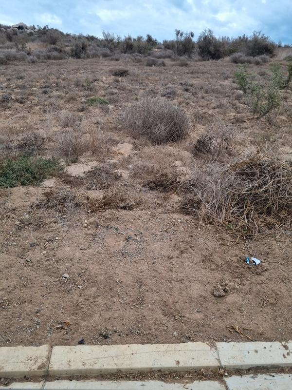 0 Bedroom Property for Sale in Saldanha Rural Western Cape
